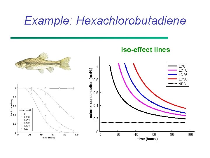 Example: Hexachlorobutadiene external concentration (mol/L) iso-effect lines LC 0 LC 10 LC 25 LC