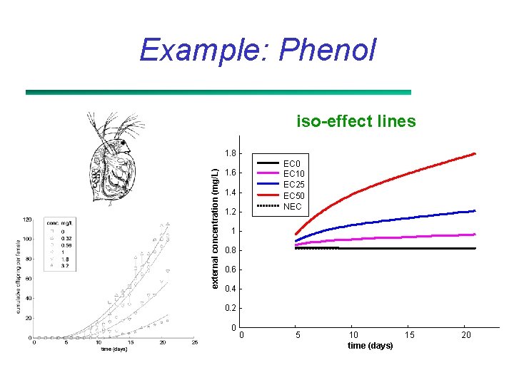 Example: Phenol iso-effect lines external concentration (mg/L) 1. 8 EC 0 EC 10 EC