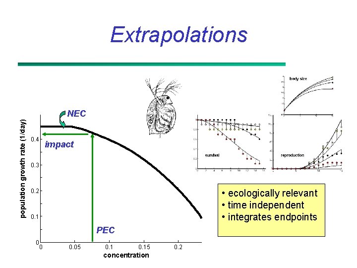 Extrapolations population growth rate (1/day) NEC 0. 4 impact 0. 3 • ecologically relevant