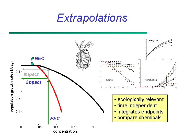 Extrapolations population growth rate (1/day) NEC 0. 4 0. 3 impact • ecologically relevant