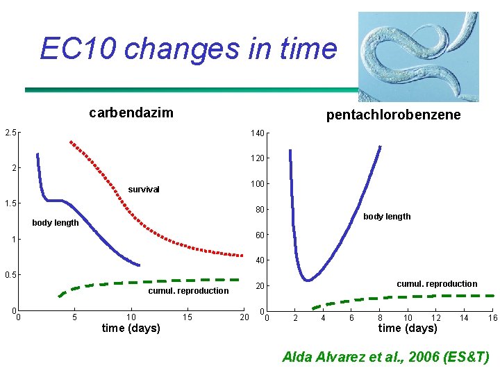 EC 10 changes in time carbendazim pentachlorobenzene 2. 5 140 120 2 100 survival