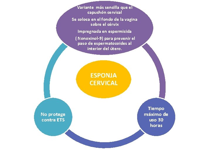 Variante más sencilla que el capuchón cervical Se coloca en el fondo de la