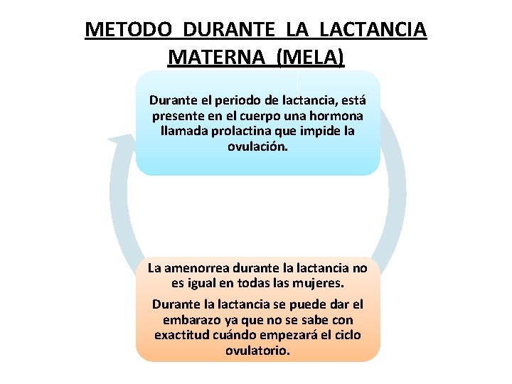 METODO DURANTE LA LACTANCIA MATERNA (MELA) Durante el periodo de lactancia, está presente en