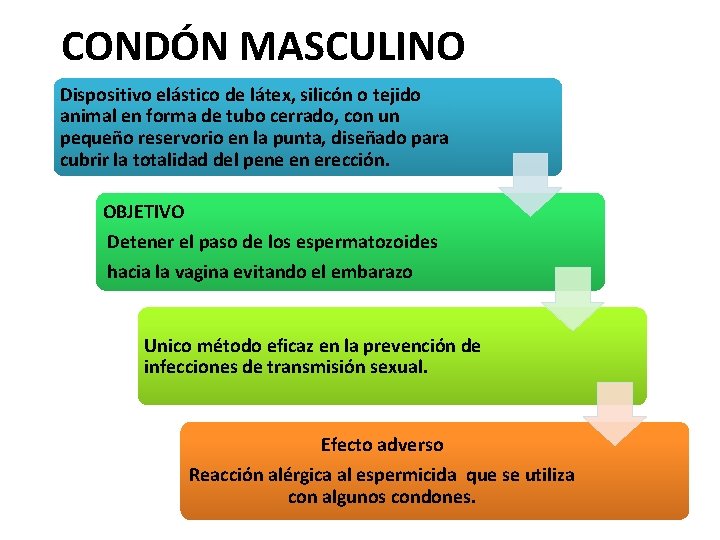 CONDÓN MASCULINO Dispositivo elástico de látex, silicón o tejido animal en forma de tubo