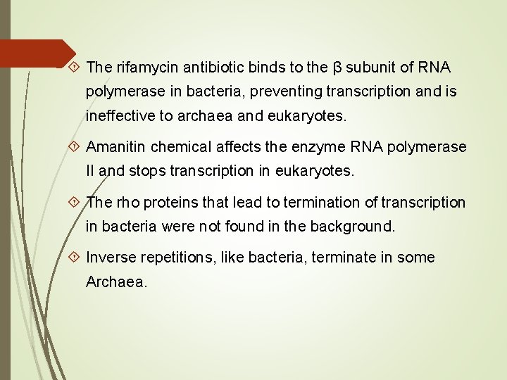 The rifamycin antibiotic binds to the β subunit of RNA polymerase in bacteria,