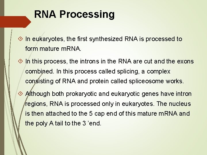 RNA Processing In eukaryotes, the first synthesized RNA is processed to form mature m.