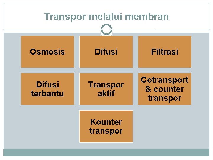 Transpor melalui membran Osmosis Difusi terbantu Difusi Filtrasi Transpor aktif Cotransport & counter transpor