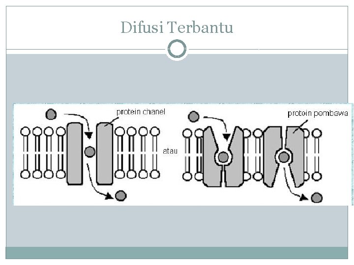 Difusi Terbantu 