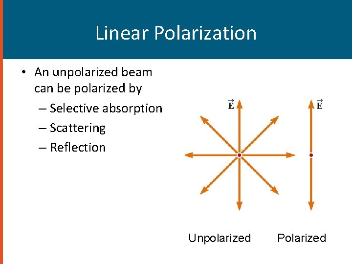 Linear Polarization • An unpolarized beam can be polarized by – Selective absorption – Linear Polarization • An unpolarized beam can be polarized by – Selective absorption –