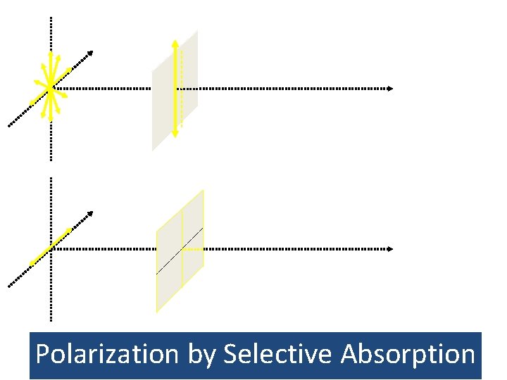 Polarization by Selective Absorption Polarization by Selective Absorption