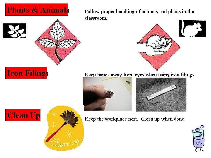 Plants & Animals Follow proper handling of animals and plants in the classroom. Iron Plants & Animals Follow proper handling of animals and plants in the classroom. Iron