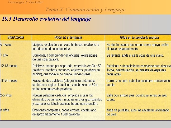 Psicología 2º Bachiller Tema X Comunicación y Lenguaje 10. 5 Desarrollo evolutivo del lenguaje