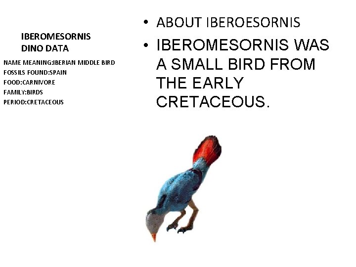 IBEROMESORNIS DINO DATA NAME MEANING: IBERIAN MIDDLE BIRD FOSSILS FOUND: SPAIN FOOD: CARNIVORE FAMILY: