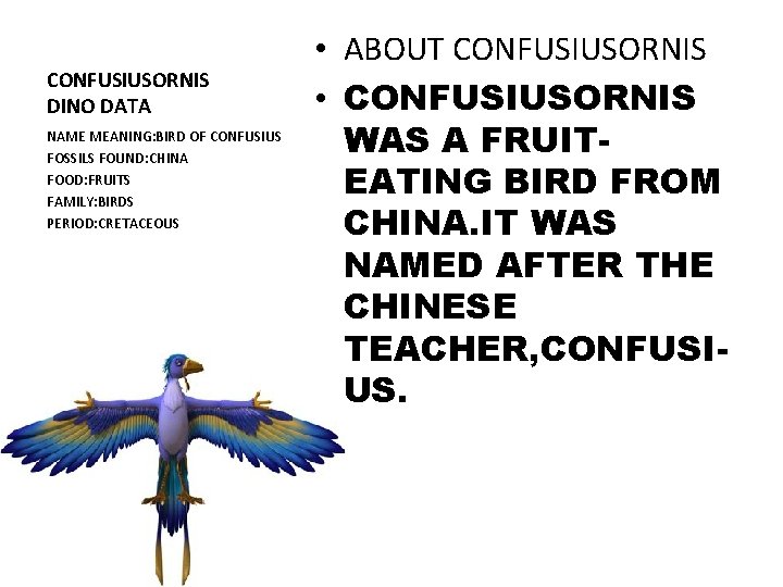 CONFUSIUSORNIS DINO DATA NAME MEANING: BIRD OF CONFUSIUS FOSSILS FOUND: CHINA FOOD: FRUITS FAMILY: