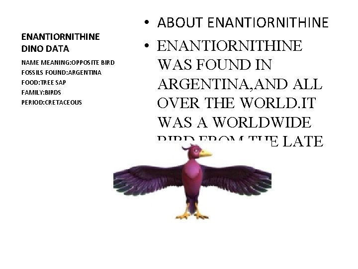 ENANTIORNITHINE DINO DATA NAME MEANING: OPPOSITE BIRD FOSSILS FOUND: ARGENTINA FOOD: TREE SAP FAMILY: