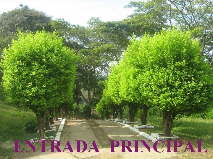 ENTRADA PRINCIPAL Visita: http: //www. Renuevo. De. Plenitud. com 
