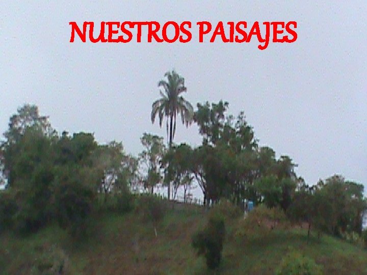 NUESTROS PAISAJES 