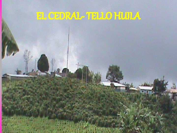 EL CEDRAL- TELLO HUILA 