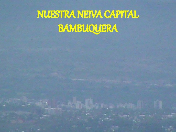 NUESTRA NEIVA CAPITAL BAMBUQUERA 