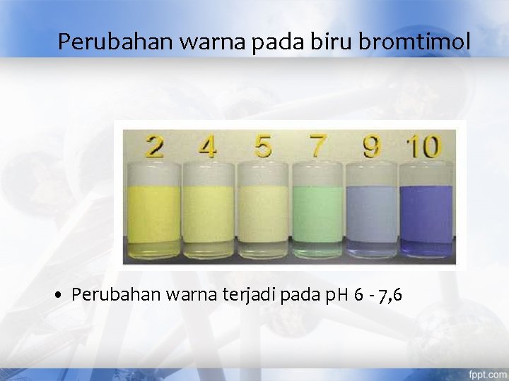 Perubahan warna pada biru bromtimol • Perubahan warna terjadi pada p. H 6 -