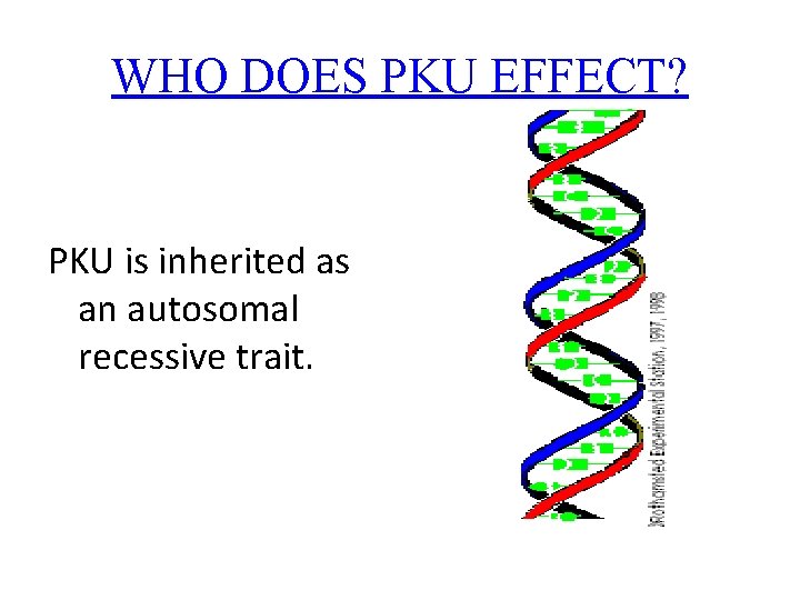 WHO DOES PKU EFFECT? PKU is inherited as an autosomal recessive trait. 