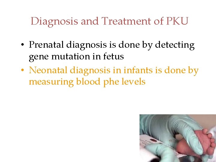Diagnosis and Treatment of PKU • Prenatal diagnosis is done by detecting gene mutation