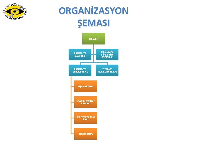 ORGANİZASYON ŞEMASI DEKAN FAKÜLTE KURULU FAKÜLTE YÖNETİM KURULU FAKÜLTE SEKRETERİ DEKAN YARDIMCILARI Öğrenci İşleri