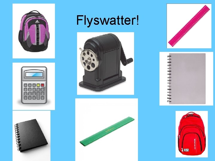 Flyswatter! 