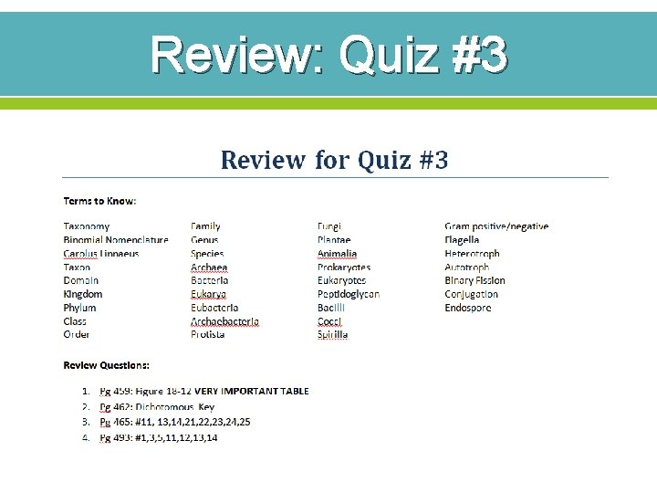 Review: Quiz #3 