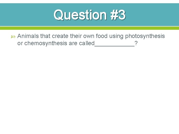 Question #3 Animals that create their own food using photosynthesis or chemosynthesis are called______?