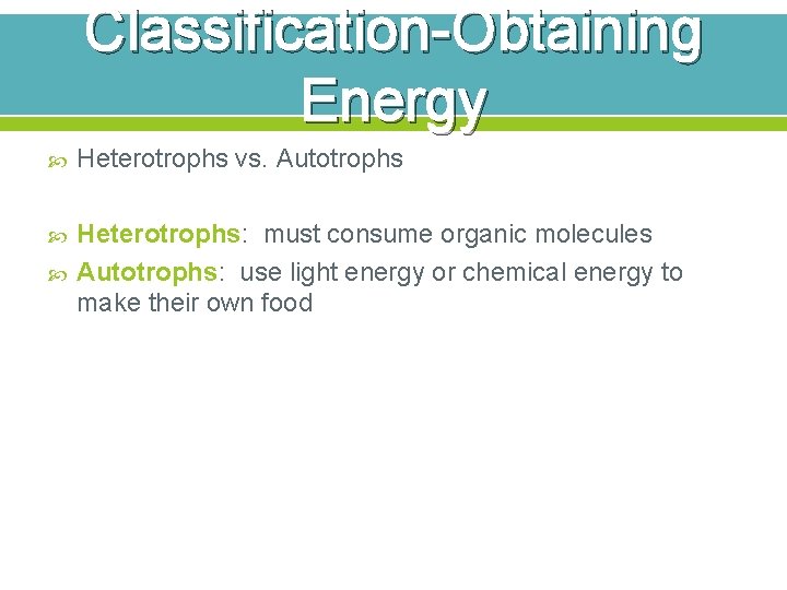 Classification-Obtaining Energy Heterotrophs vs. Autotrophs Heterotrophs: must consume organic molecules Autotrophs: use light energy