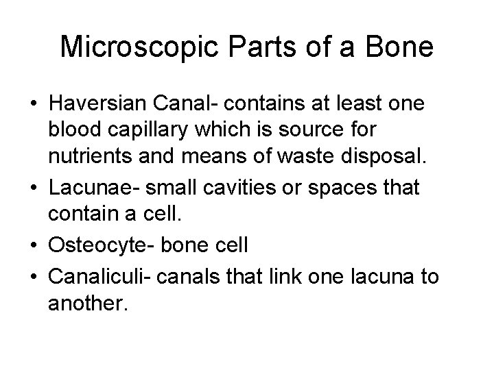 Microscopic Parts of a Bone • Haversian Canal- contains at least one blood capillary