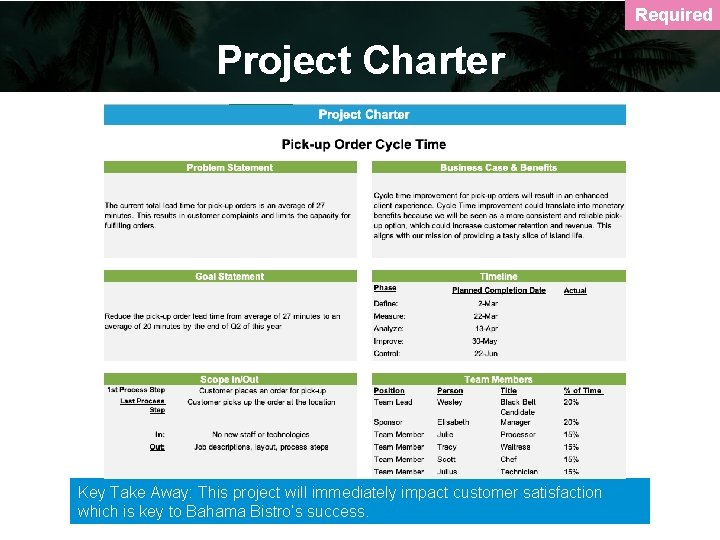 Required Project Charter Key Take Away: This project will immediately impact customer satisfaction which