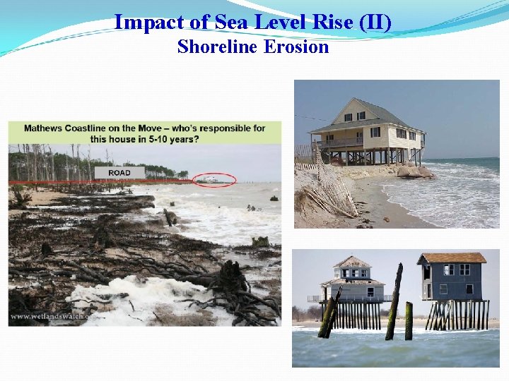 Impact of Sea Level Rise (II) Shoreline Erosion 