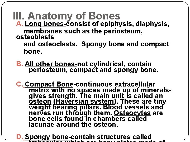 III. Anatomy of Bones A. Long bones-consist of epiphysis, diaphysis, membranes such as the