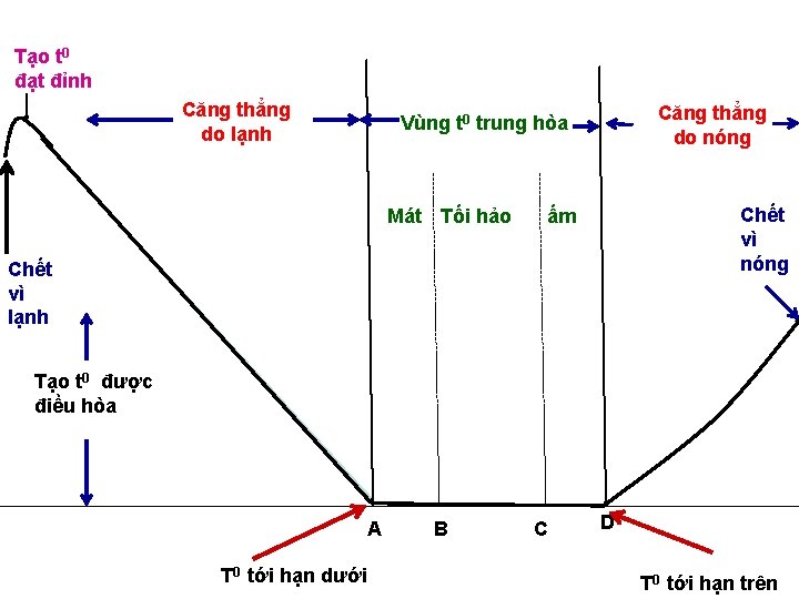 Tạo t 0 đạt đỉnh Căng thẳng do lạnh Căng thẳng do nóng Vùng