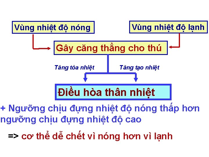 Vùng nhiệt độ nóng Vùng nhiệt độ lạnh Gây căng thẳng cho thú Tăng