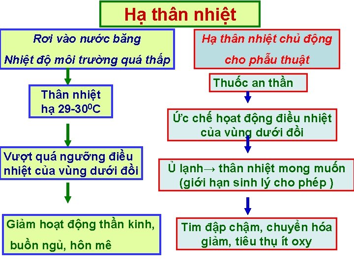 Hạ thân nhiệt Rơi vào nước băng Hạ thân nhiệt chủ động Nhiệt độ