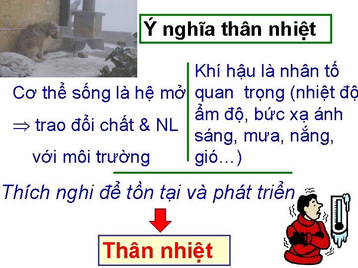 Ý nghĩa thân nhiệt Khí hậu là nhân tố Cơ thể sống là hệ