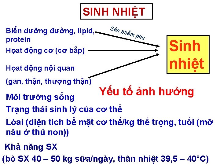 SINH NHIỆT Biến dưỡng đường, lipid, protein Họat động cơ (cơ bắp) Họat động