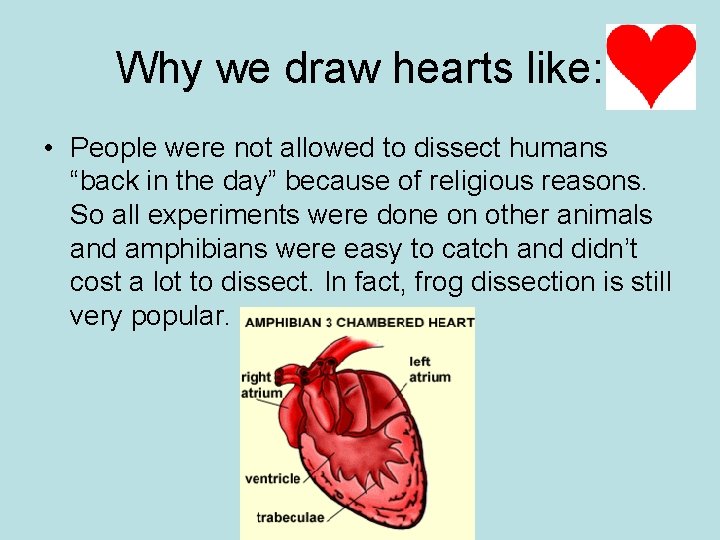 Why we draw hearts like: • People were not allowed to dissect humans “back