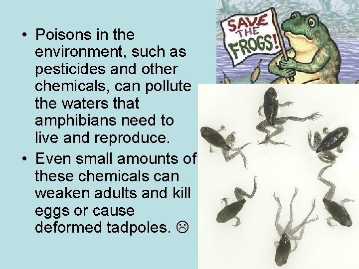  • Poisons in the environment, such as pesticides and other chemicals, can pollute