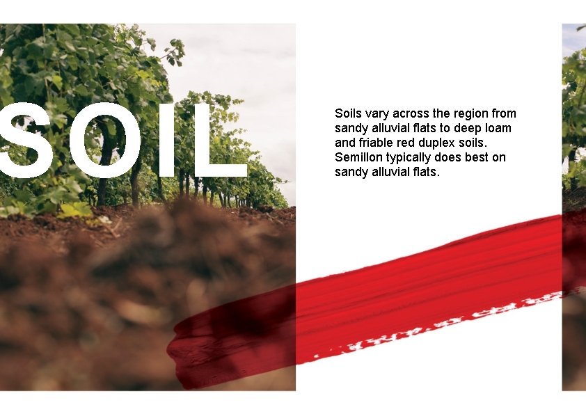 SOIL Soils vary across the region from sandy alluvial flats to deep loam and