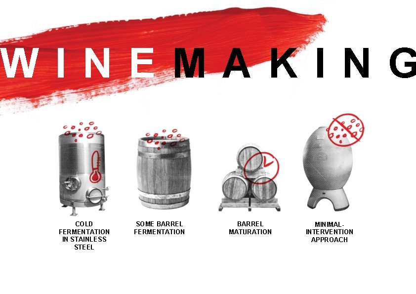 WINE MAKING COLD FERMENTATION IN STAINLESS STEEL SOME BARREL FERMENTATION BARREL MATURATION MINIMALINTERVENTION APPROACH