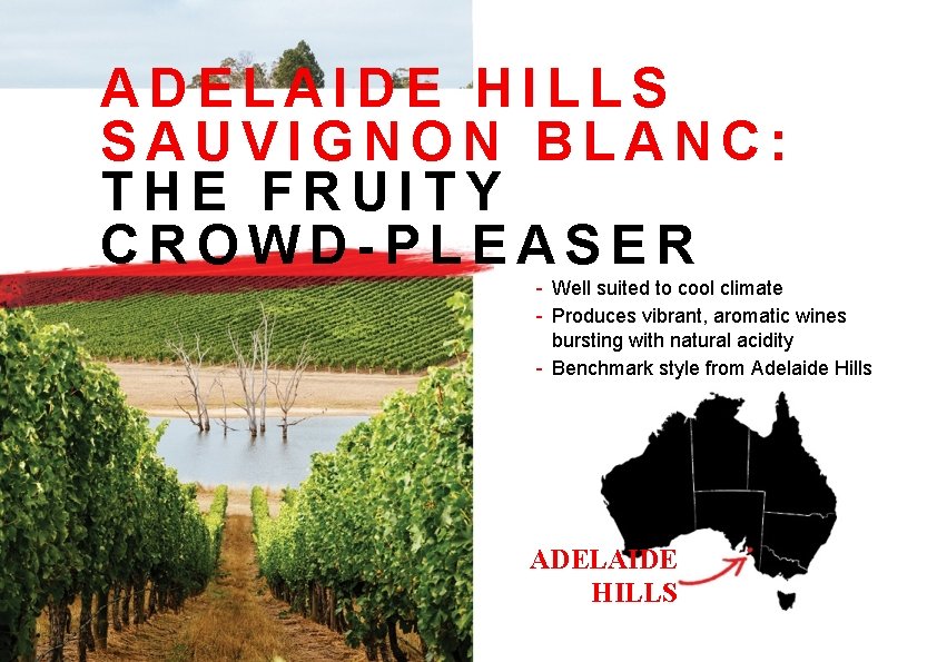 ADELAIDE HILLS SAUVIGNON BLANC: THE FRUITY CROWD-PLEASER - Well suited to cool climate -