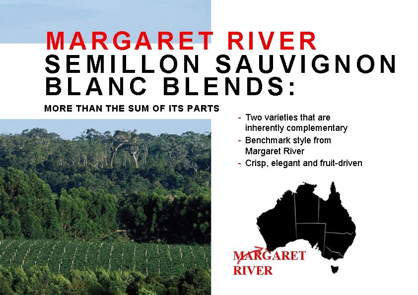 MARGARET RIVER SEMILLON SAUVIGNON BLANC BLENDS: MORE THAN THE SUM OF ITS PARTS -