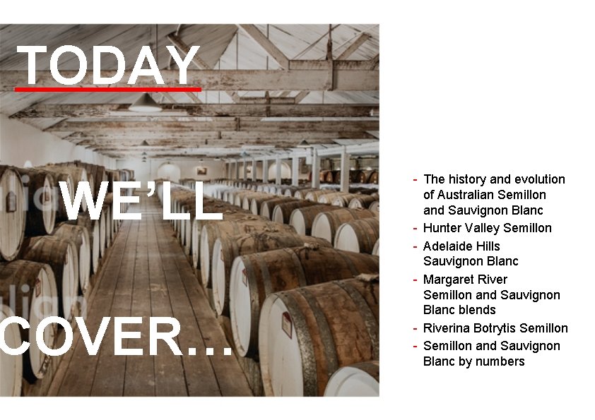 TODAY WE’LL COVER… - The history and evolution of Australian Semillon and Sauvignon Blanc
