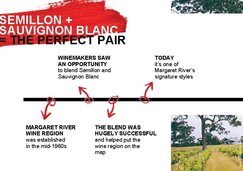 SEMILLON + SAUVIGNON BLANC = THE PERFECT PAIR MARGARET RIVER WINE REGION was established