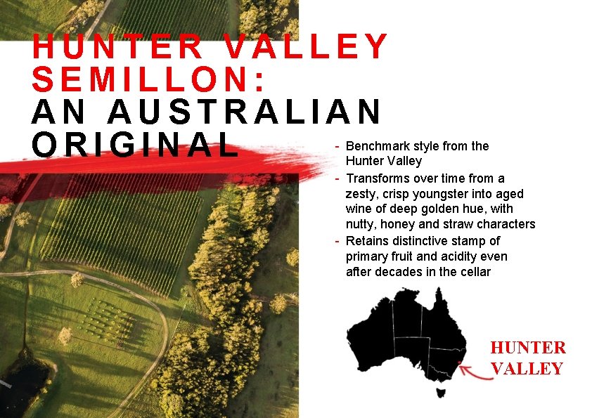 HUNTER VALLEY SEMILLON: AN AUSTRALIAN ORIGINAL - Benchmark style from the Hunter Valley -