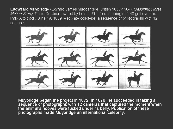 Eadweard Muybridge (Edward James Muggeridge, British 1830 1904), Galloping Horse, Motion Study: Sallie Gardner,